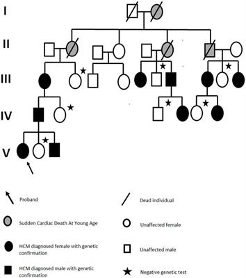 A MYH7 variant in a five-generation-family with hypertrophic cardiomyopathy